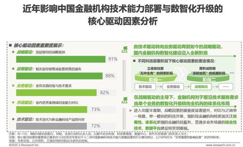 2025年中國金融科技（FinTech）行業(yè)發(fā)展洞察報告 信息技術咨詢服務的核心作用
